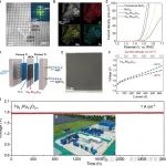 四川大学，2025年首篇Science！