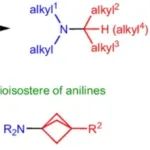 光诱导铜催化的亲核取代合成叔烷基胺 | Nature Chemistry