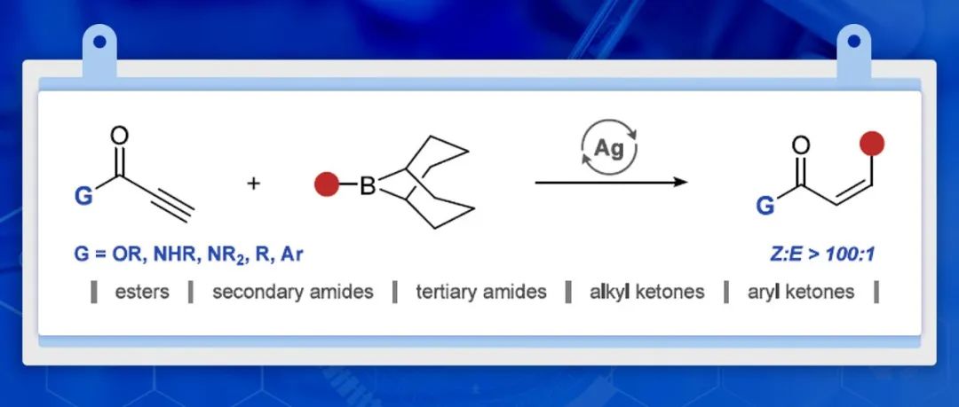 Gojko Lalic团队JACS：Z-Michael受体的合成新方法