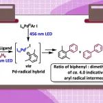 ACS Catal.：用芳基自由基测定法监测光活化钯催化芳基卤化物与芳烃偶联过程中的自由基中间体