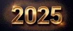 什么是2025？