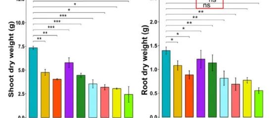 读者来信：Journal of Hazardous Materials发现该文很多地方数据存疑