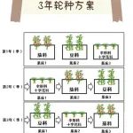 收藏||蔬菜轮作速查表