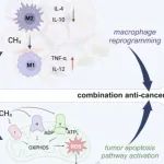 Biomaterials：基于抗坏血酸/蛋氨酸的CH4递送纳米药物用于肿瘤靶向治疗