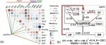 全球尺度评估丨GLOBAL CHANGE BIOL：全球土壤中颗粒有机碳的主要生态控制因素