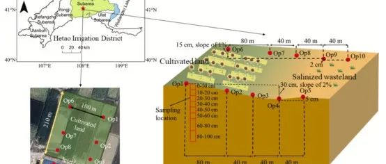 【文献精选】Catena｜土壤阳离子和质地对于在耕地和盐碱荒地之间形成顺畅的水盐输送通道至关重要