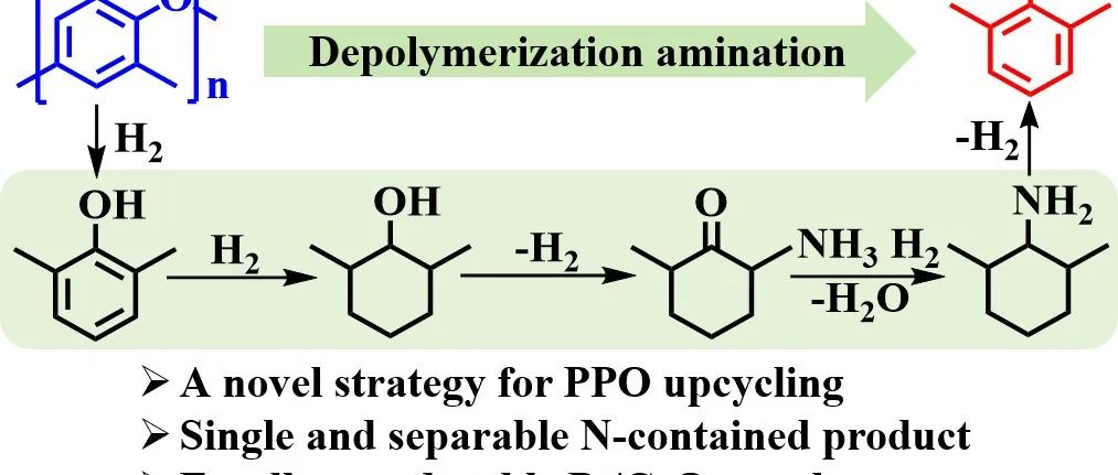 华东理工大学王艳芹团队：Pt/CeO2催化剂上将聚苯醚（PPO）解聚-胺化升级为2,6-二甲基苯胺
