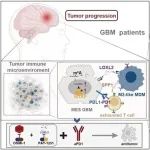 Neuro-Oncology | 山东大学李刚/薛皓团队发文揭示m6A甲基转移酶WTAP促进胶质母细胞瘤恶性进展新机制