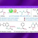 上海交通大学张万斌教授课题组JACS：镍催化不对称氢化合成手性β2-氨基膦衍生物