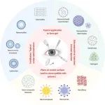 上海交大庞燕/李瑾/林明/范先群《Adv. Sci.》：纳米技术在治疗眼表化学性损伤方面的研究进展