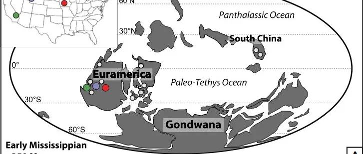 Geology：石炭纪气候巨变——全球碳循环变化主导