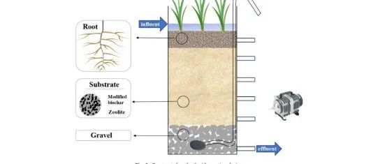 【文献精选Bioresour. Technol.|在不同操作条件下用 NaOH 改性玉米秸秆生物炭构建的湿地基质去除磺胺类抗生素