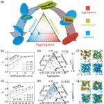 格罗宁根大学Andrea教授/爱荷华州立大学夏文杰教授 Macromolecules：接枝改善石墨烯分散