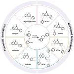 江苏大学张侃教授团队《Macromolecules》：设计合成黄酮类生物基单、双、三官苯并噁嗪树脂