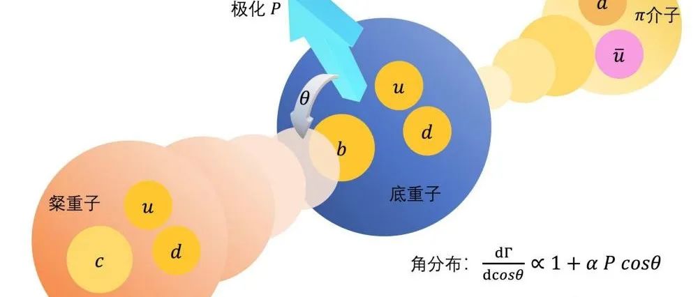 成果 | 张艳席团队与合作者主导完成重子衰变参数精确测量