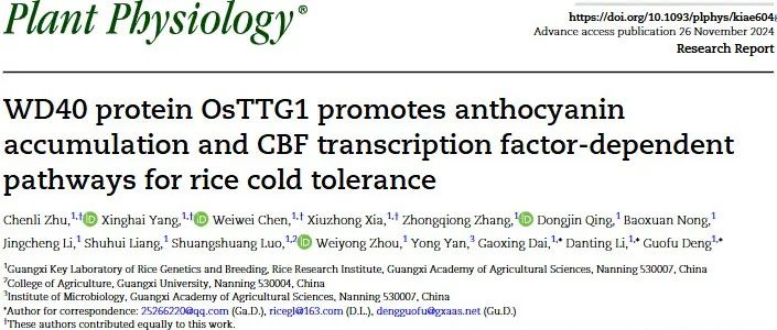 文献分享 | WD40蛋白OsTTG1促进花青素积累和CBF转录因子依赖的水稻耐寒途径