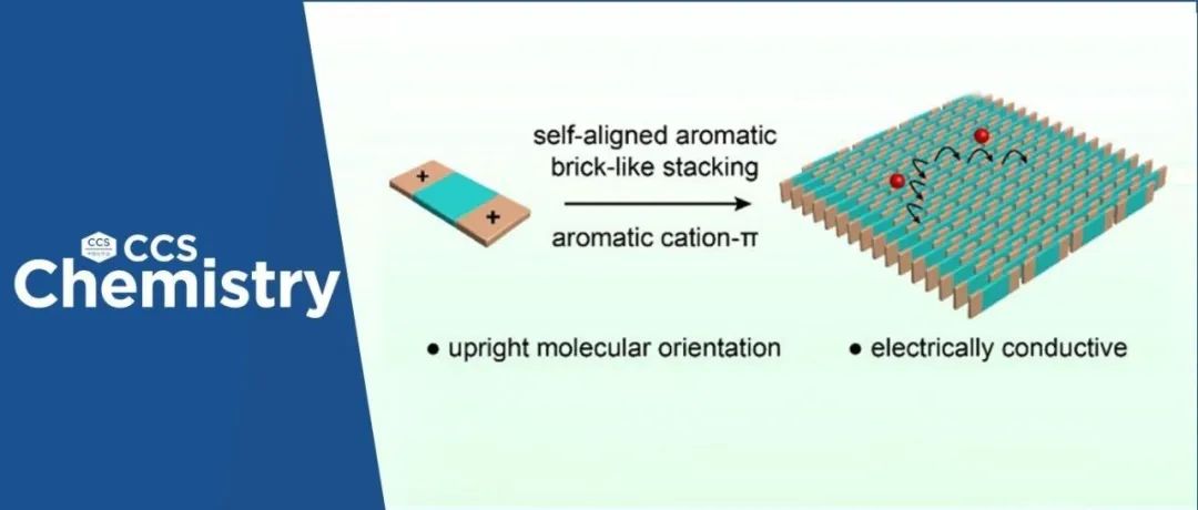 【CCS Chem.】西北工业大学田威：阳离子-π作用驱动的自对准芳环砖状堆积策略精准构筑导电二维超分子聚合物