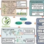 继Nature Plants后，河北大学杜会龙教授团队在植物科学顶级期刊再发重要研究成果！