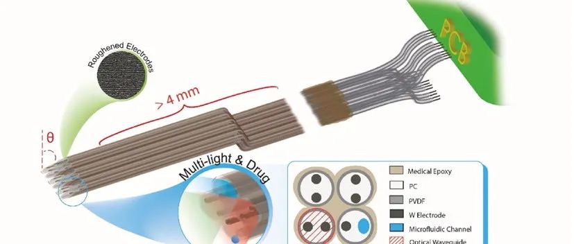 《Biosens. Bioelectron.》：多功能四极管式给药、光刺激和电生理学探针
