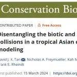 Conservation biology |通过对新加坡城市鸟撞事故的分析，蓝光污染会增加迁徙类群的碰撞风险