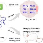 Journal of Medicinal Chemistry | 中科院开发出针对前列腺癌驱动因子GSPT1强效诱导降解的分子胶