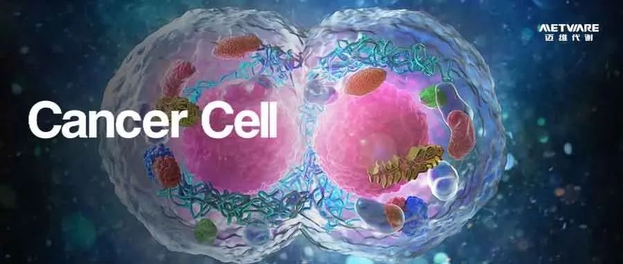 Cancer Cell | 南京医科大学研究揭示浆细胞促进胶质母细胞瘤干细胞增殖机制