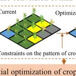 一区top（IF 10.9）、新方法！农业资源利用与区划团队提出一种作物种植结构空间优化新方法