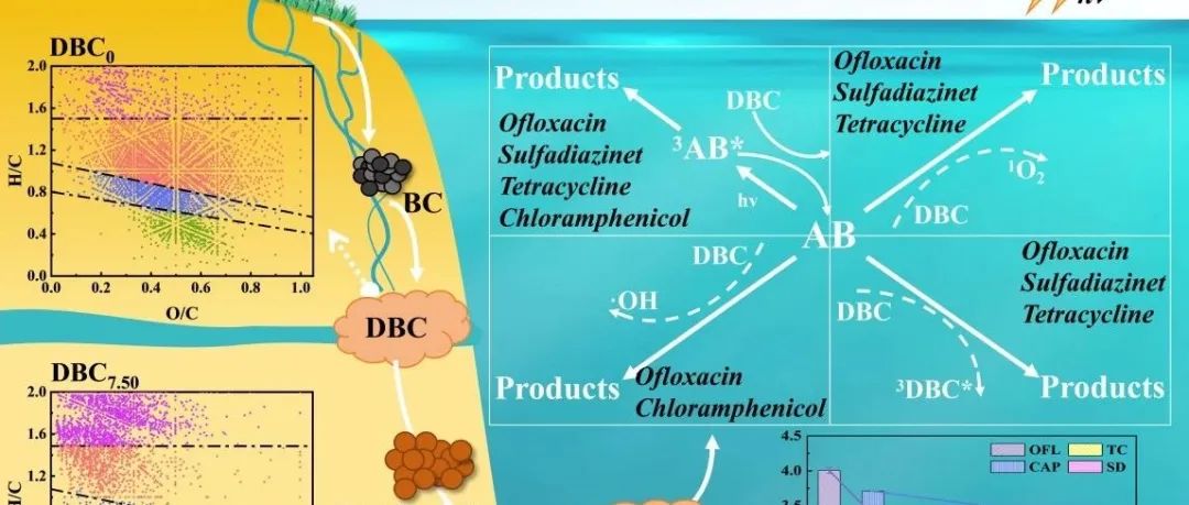 【视点】兰州大学谢晓芸教授团队：分馏过程中溶解性黑碳光活性的变化及其在不同抗生素光降解中的作用