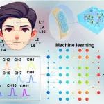 山西师大崔小静 ACS Sensors：机器学习辅助热电水凝胶实现自驱动面部感知