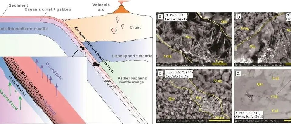 Geosci. Front. | 俯冲带浅部受氧逸度控制的碳酸盐与富硅流体的反应