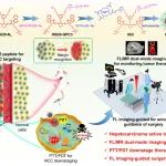 Materials Today Bio | 南华大学陈国栋、杨晴来合作发表肝癌转化治疗光诊疗策略最新研究成果