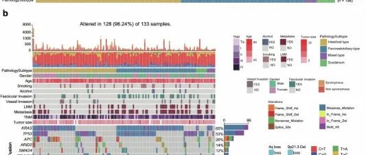 Cell Discovery丨复旦大学丁琛/侯英勇/上海交通大学刘宇合作研究揭示壶腹腺癌整合的蛋白质基因组学特征