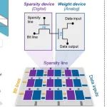 Nature Electronics：王欣然教授团队提出基于二维材料的高效稀疏神经网络硬件方案