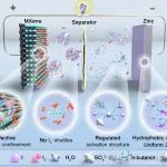 四川大学《Nature》子刊：锌碘电池的三方协同优化策略！
