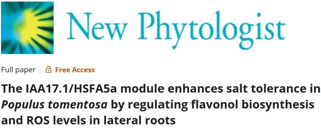 文献分享｜IAA17.1/HSFA5a模块通过调节侧根中的黄酮醇生物合成和ROS水平来增强毛白杨的耐盐性