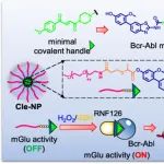 JACS：自组装纳米分子胶（Nano-mGlu）可实现GSH/H2O2触发的靶向蛋白降解以用于癌症治疗