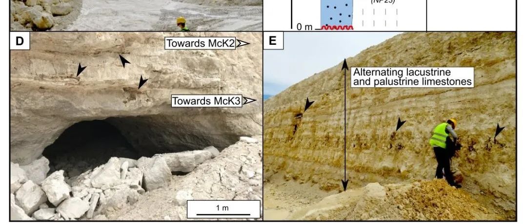 Geology：利用原位U-Pb测年技术，揭示古代溶洞形成之谜