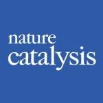 他，上海有机所「国家杰青/万人领军人才」，联合港科大，新发Nature Catalysis！