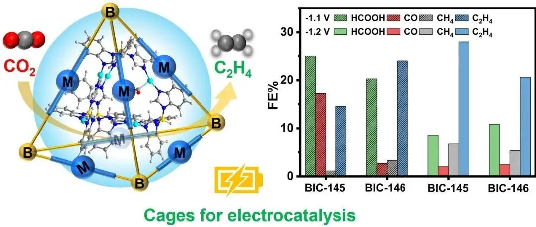 中国科学院福建物质结构研究所张健/张海霞：稳定的铜硼咪唑笼型富铜酶用于电催化二氧化碳还原合成乙烯