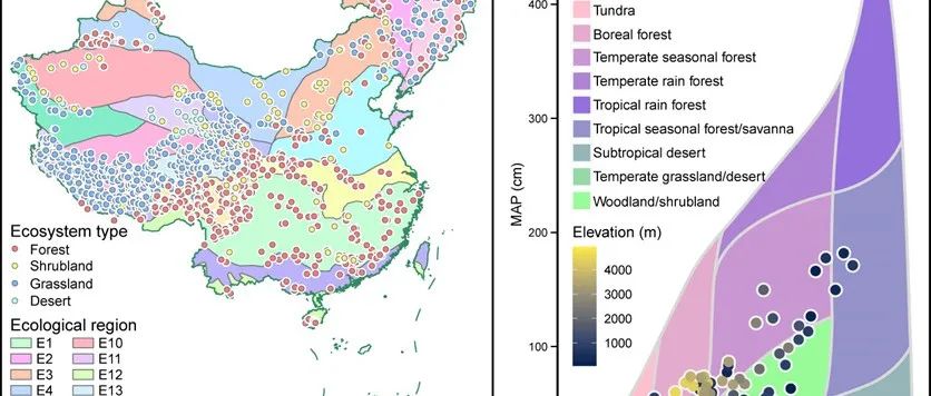 Journal of ecology | 大尺度研究揭示镁元素在植物适应环境中的调控作用