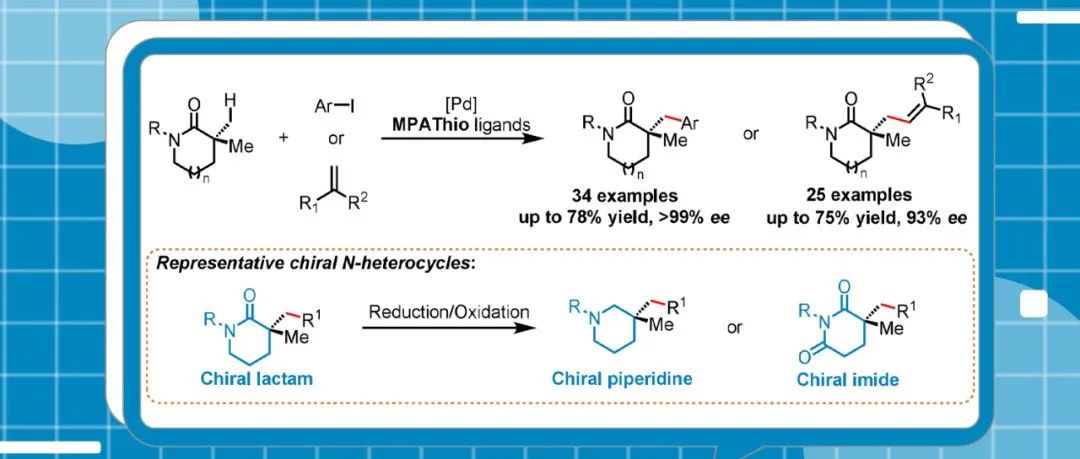 余金权团队最近JACS：内酰胺的对映选择性β&#8209;C(sp3)&#8722;H活化实现含有季碳中心手性饱和杂环化合物的合成