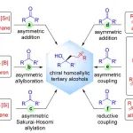 江西师范大学曾兴平团队：催化不对称酮烯丙基化反应及其应用的新进展