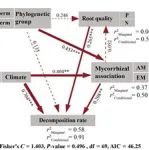 New Phytologist | 沈阳生态所在森林根桩与粗根分解的调控机理方面取得进展