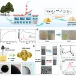 北京林业大学边静教授团队 ACS Nano：双醛木聚糖助力无引发剂多功能低共熔凝胶的超快制备