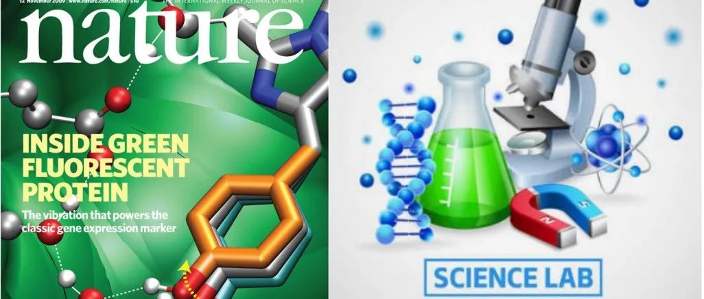 生命周期分析LCA和TEA已成Nature、Science及子刊标配，多篇环境类文章登上顶刊