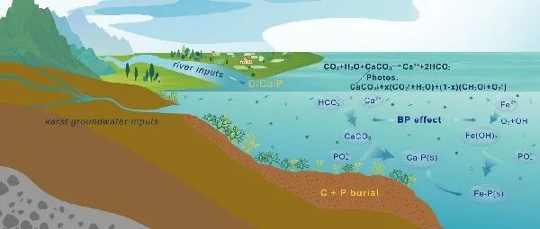 科研进展 | 地化所揭秘喀斯特湖库百年来磷去除之路