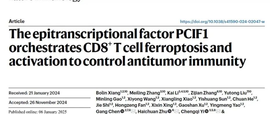 Nat Immunol | 武汉大学张金方团队揭示PCIF1调控T细胞激活和铁死亡的分子机制