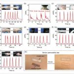 北京科技大学《Small》：基于石墨烯应变传感复合材料，用于先进可穿戴传感器