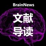 Nat Commun：陈忠团队揭示恐惧记忆的发生机制