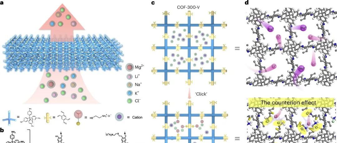 浙江大学张庆华教授团队 Nature Water：基于正电荷通道中的反离子效应实现高通量下Li&#8314;/Mg&#178;&#8314;分离